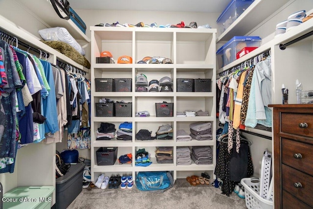 1831 E Dalton Ave, Dalton Gardens, ID 83815 - view of spacious closet