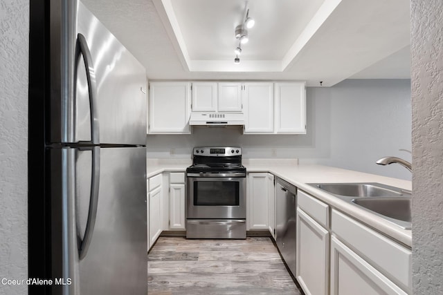 64 Winterbrook Way Unit 101, Sandpoint, ID 83864 - kitchen with appliances with stainless steel finishes, under cabinet range hood, a raised ceiling, a sink, and light wood-type flooring