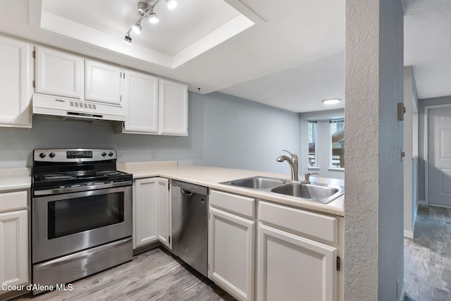 64 Winterbrook Way Unit 101, Sandpoint, ID 83864 - kitchen with under cabinet range hood, appliances with stainless steel finishes, a sink, light wood-style floors, and white cabinetry