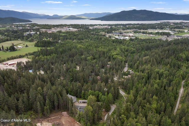 64 Winterbrook Way Unit 101, Sandpoint, ID 83864 - bird's eye view of a forest and a water and mountain view
