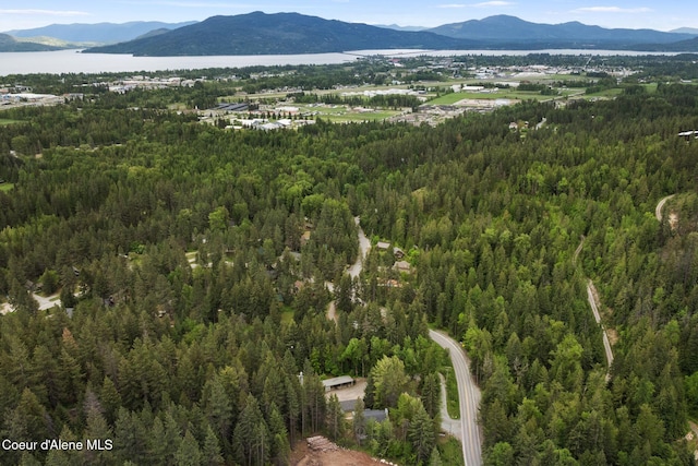 64 Winterbrook Way Unit 101, Sandpoint, ID 83864 - drone / aerial view of a forest and a water and mountain view