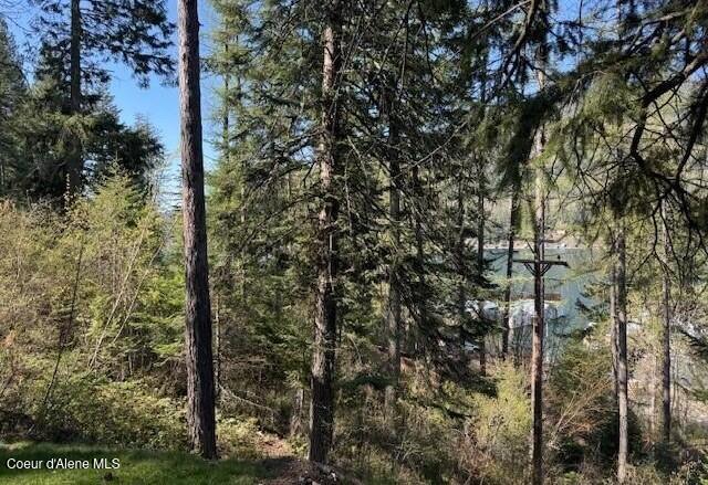 NNA Gold Coin Lane, Sagle, ID 83860 - photo 1