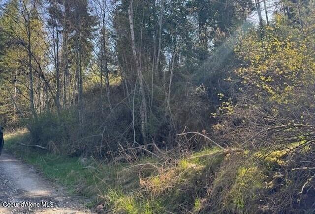 NNA Gold Coin Lane, Sagle, ID 83860 - photo 2