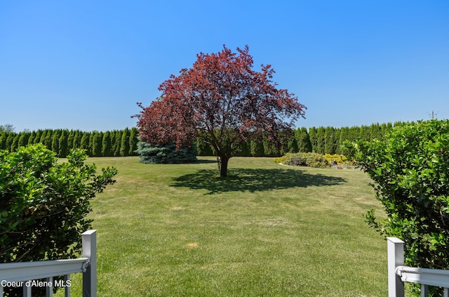 2411 W Diamond Bar Rd, Rathdrum, ID 83858 - view of grassy yard with a rural view and agricultural plots