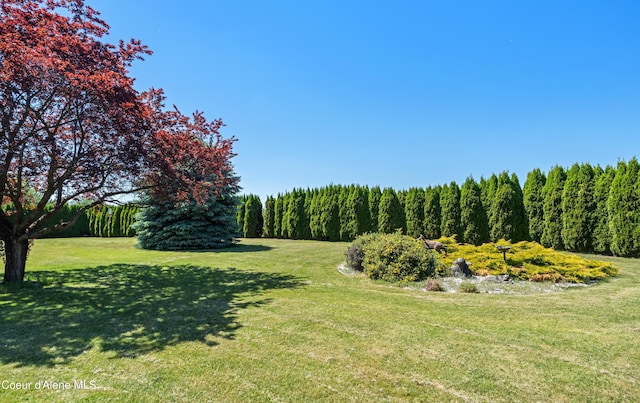 2411 W Diamond Bar Rd, Rathdrum, ID 83858 - view of green lawn