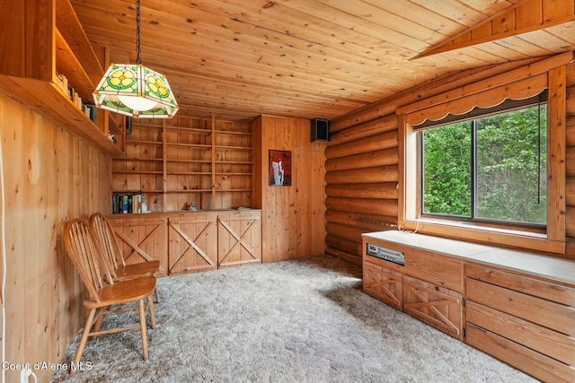 1180 Mountain View Rd, Clark Fork, ID 83811 - unfurnished room with carpet and wooden ceiling