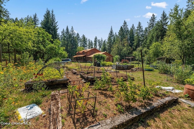 1180 Mountain View Rd, Clark Fork, ID 83811 - view of yard featuring a garden and a view of trees