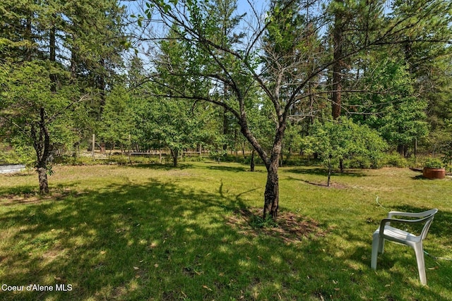 1180 Mountain View Rd, Clark Fork, ID 83811 - view of grassy yard