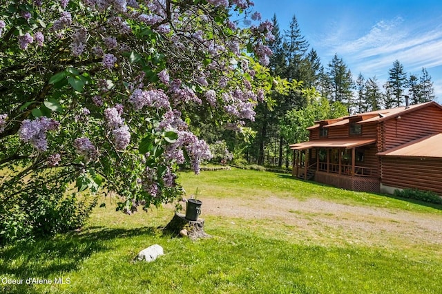 1180 Mountain View Rd, Clark Fork, ID 83811 - view of green lawn