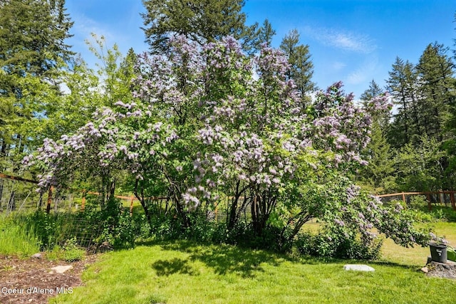 1180 Mountain View Rd, Clark Fork, ID 83811 - view of yard