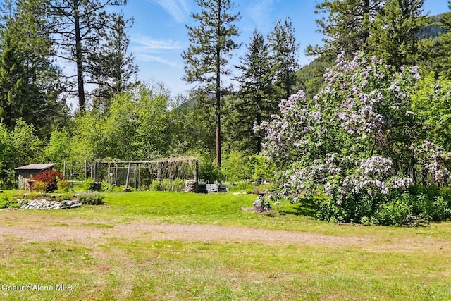 1180 Mountain View Rd, Clark Fork, ID 83811 - view of grassy yard