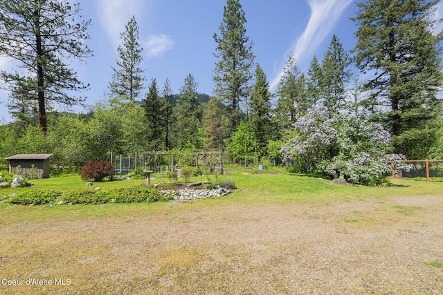1180 Mountain View Rd, Clark Fork, ID 83811 - view of grassy yard