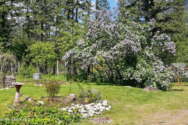 1180 Mountain View Rd, Clark Fork, ID 83811 - view of grassy yard