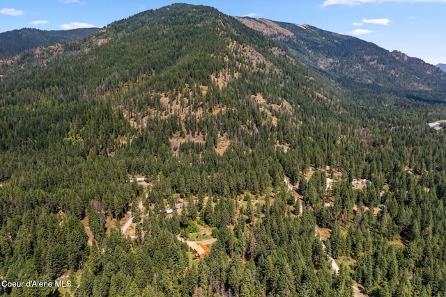 1180 Mountain View Rd, Clark Fork, ID 83811 - mountain view featuring a forest