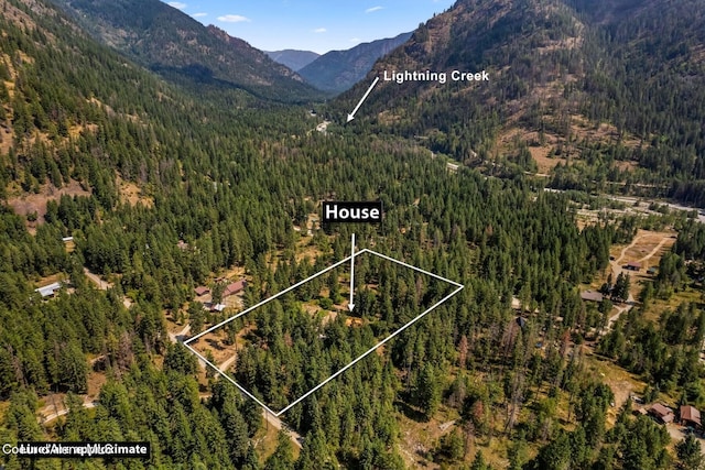 1180 Mountain View Rd, Clark Fork, ID 83811 - view of mountain backdrop with a forest