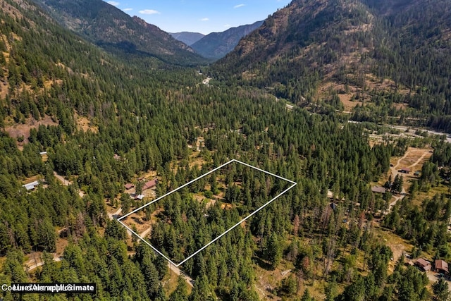 1180 Mountain View Rd, Clark Fork, ID 83811 - mountain view with a heavily wooded area
