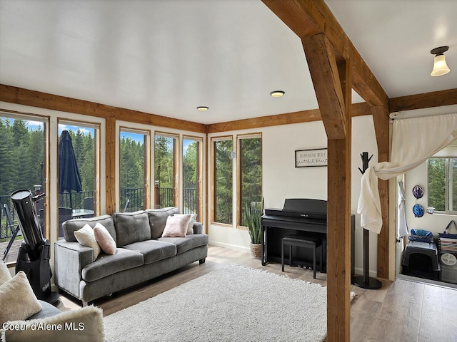 1155 Gold Creek Ridge Rd, Sandpoint, ID 83864 - living room with wood finished floors