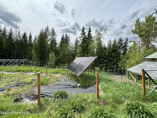 1155 Gold Creek Ridge Rd, Sandpoint, ID 83864 - view of yard with a view of trees