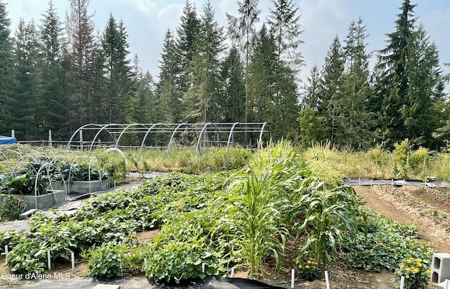 1155 Gold Creek Ridge Rd, Sandpoint, ID 83864 - view of yard featuring a garden
