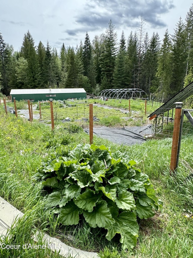 1155 Gold Creek Ridge Rd, Sandpoint, ID 83864 - view of yard with a forest view