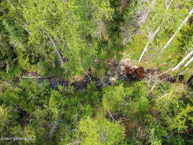 1155 Gold Creek Ridge Rd, Sandpoint, ID 83864 - bird's eye view
