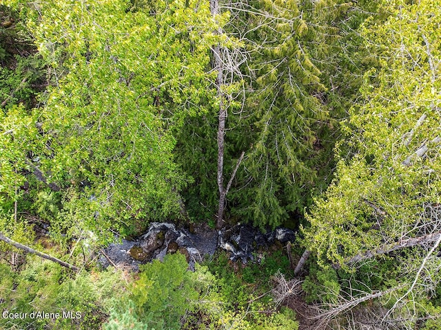 1155 Gold Creek Ridge Rd, Sandpoint, ID 83864 - view of local wilderness