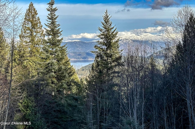 NNA Moonbeam Rd, Sagle, ID 83860