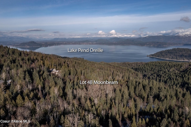 NNA Moonbeam Rd, Sagle, ID 83860
