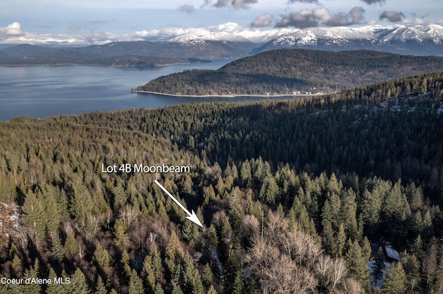 NNA Moonbeam Rd, Sagle, ID 83860