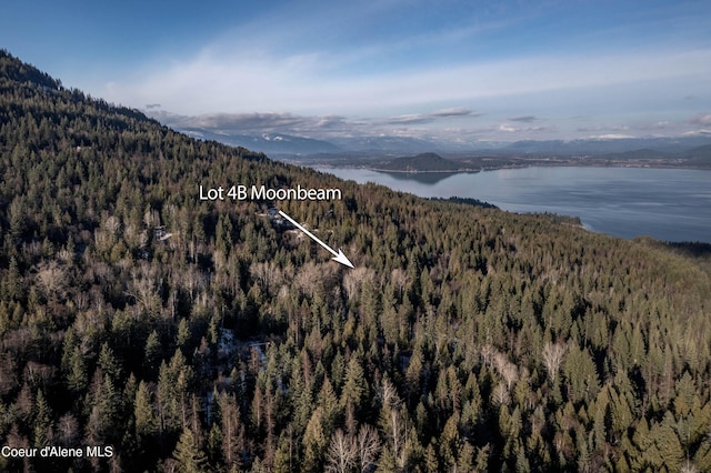 NNA Moonbeam Rd, Sagle, ID 83860