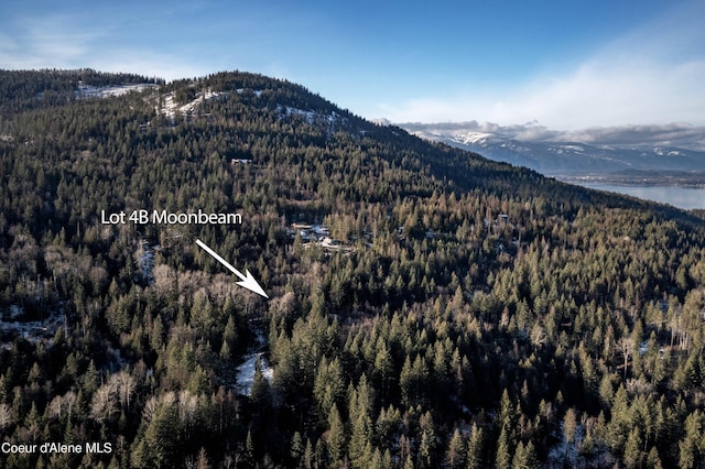 NNA Moonbeam Rd, Sagle, ID 83860