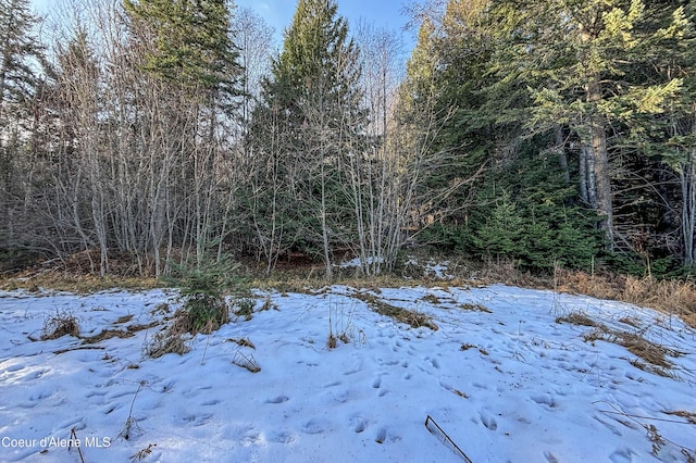 NNA Moonbeam Rd, Sagle, ID 83860
