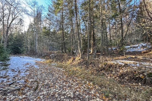 NNA Moonbeam Rd, Sagle, ID 83860
