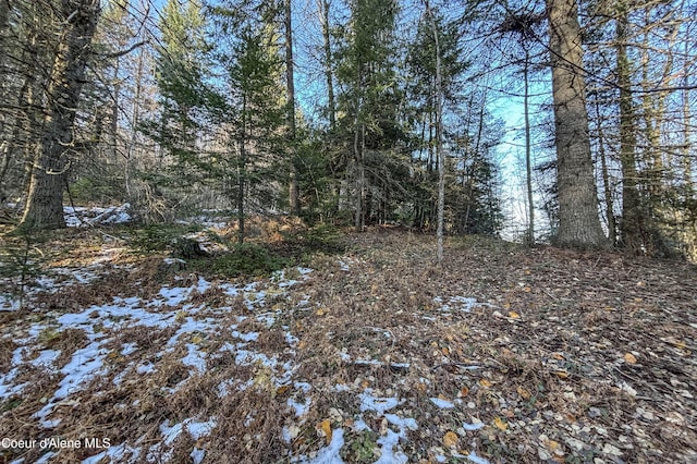 NNA Moonbeam Rd, Sagle, ID 83860
