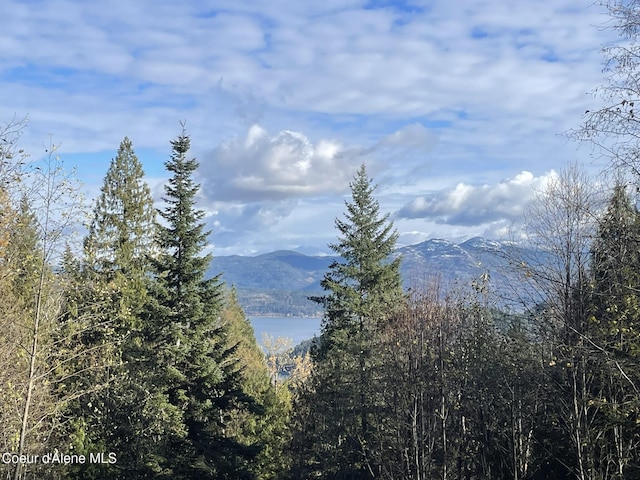 NNA Moonbeam Rd, Sagle, ID 83860