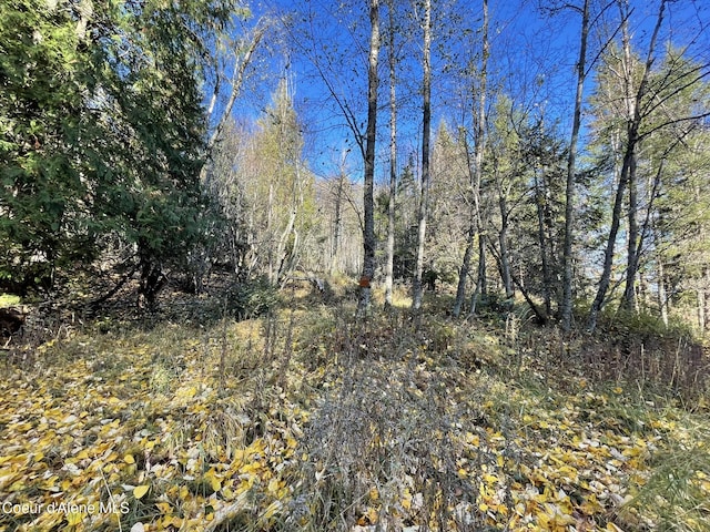 NNA Moonbeam Rd, Sagle, ID 83860