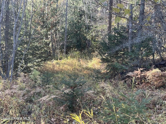 NNA Moonbeam Rd, Sagle, ID 83860