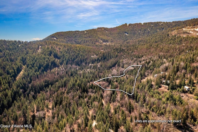 NNA Moonbeam Rd, Sagle, ID 83860
