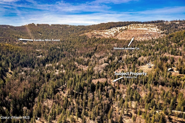 NNA Moonbeam Rd, Sagle, ID 83860