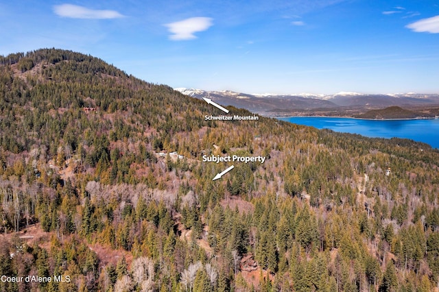 NNA Moonbeam Rd, Sagle, ID 83860