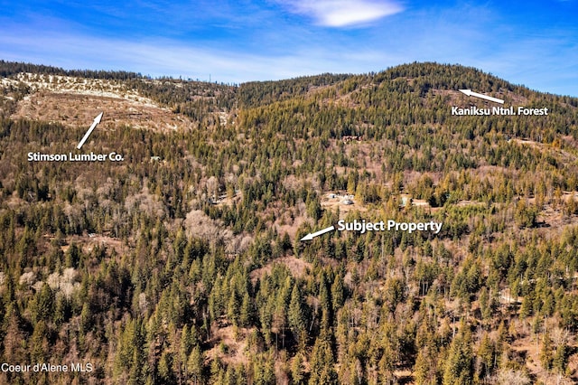 NNA Moonbeam Rd, Sagle, ID 83860