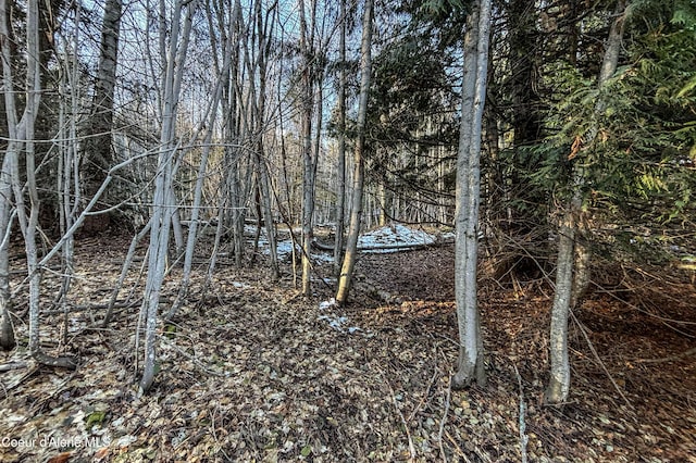 NNA Moonbeam Rd, Sagle, ID 83860
