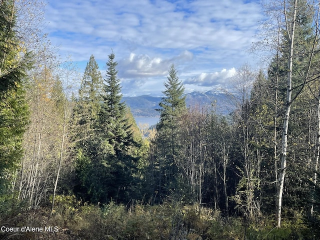 NNA Moonbeam Rd, Sagle, ID 83860