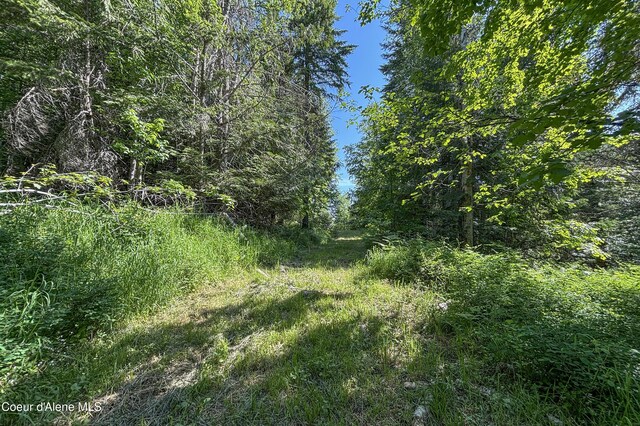 NNA Moonbeam Rd, Sagle, ID 83860 - photo 3