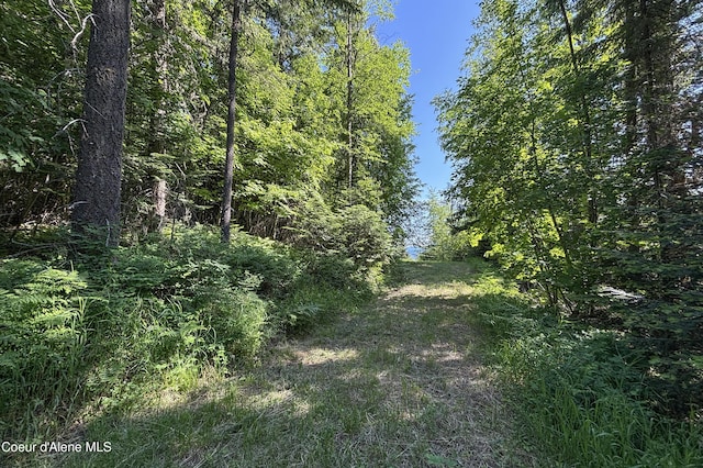NNA Moonbeam Rd, Sagle, ID 83860 - photo 2