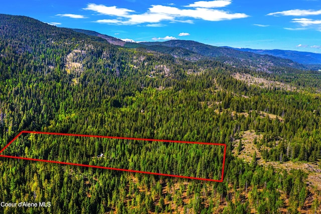NKA Christmas Ln, Naples, ID 83847