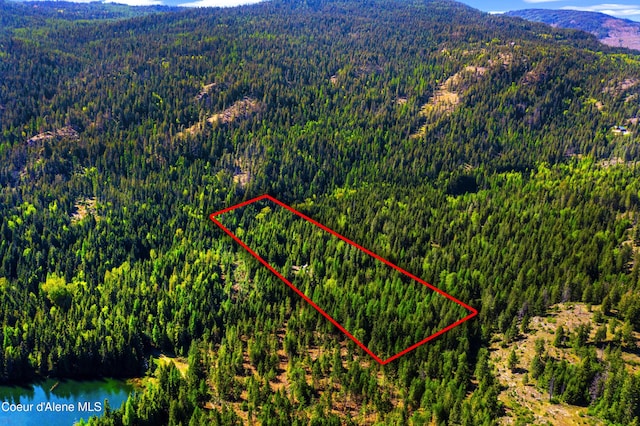 NKA Christmas Ln, Naples, ID 83847