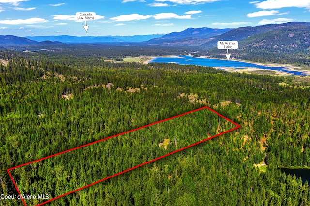 NKA Christmas Ln, Naples, ID 83847
