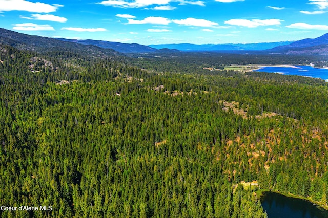 NKA Christmas Ln, Naples, ID 83847