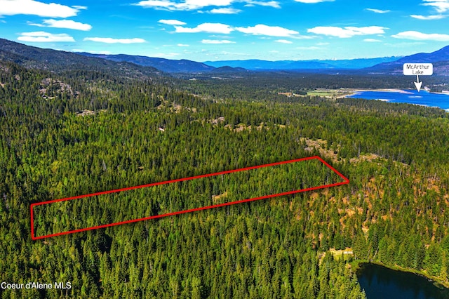NKA Christmas Ln, Naples, ID 83847
